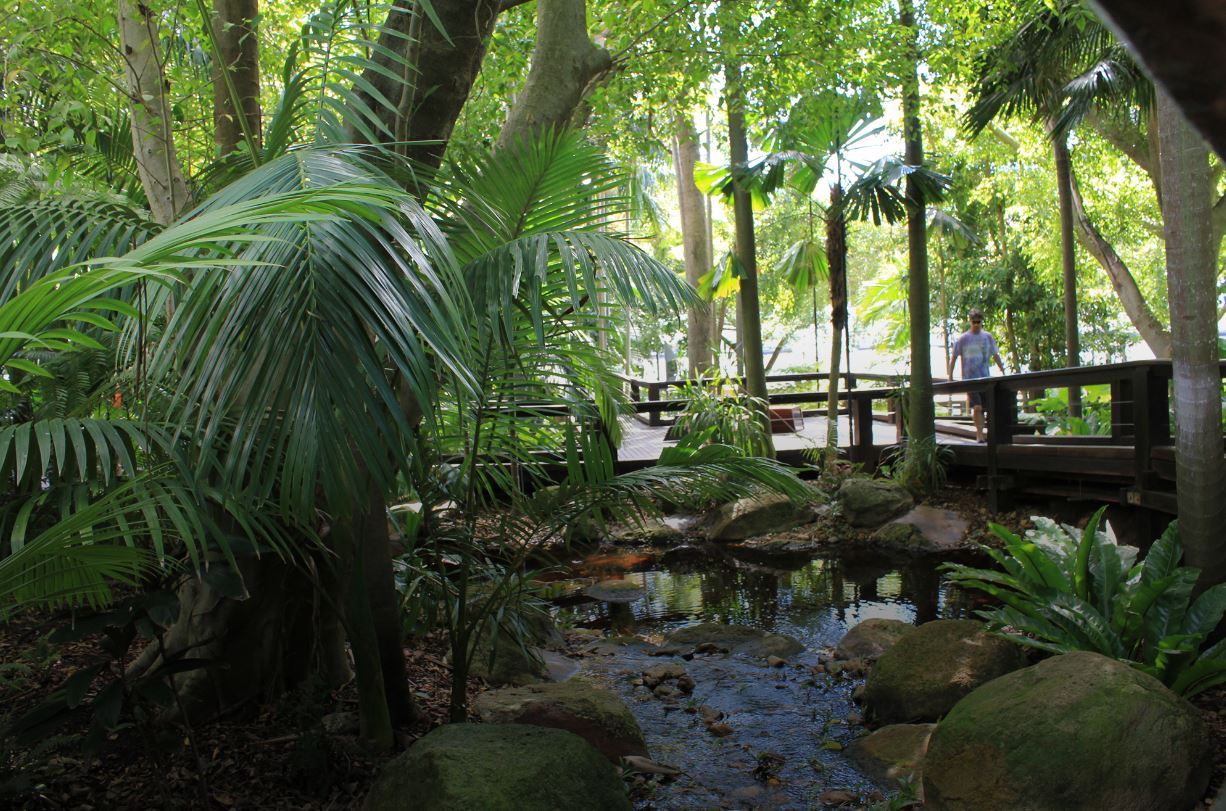 South Bank's Rain Bank