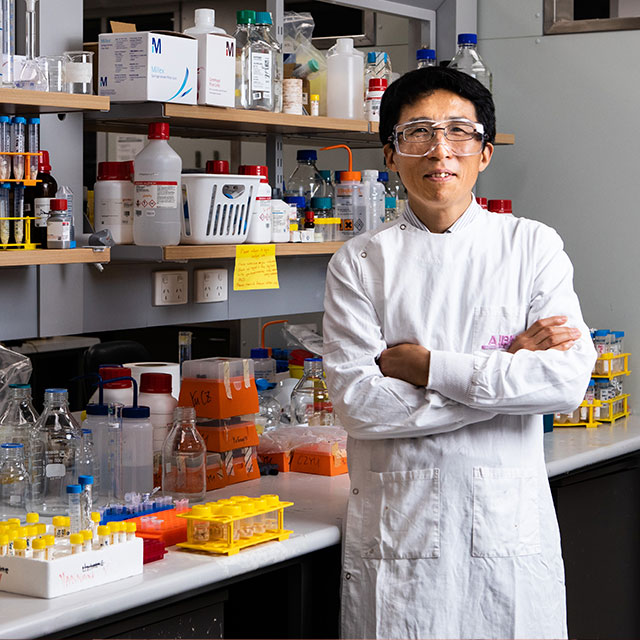 professor lianzhou wang in the lab