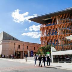 streetscape on UQ St Lucia Campus