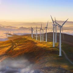 Net Zero Australia study launches