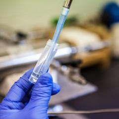 stock image: laboratory task